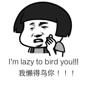 i ' m lazy to bird you ! ! !我懒得鸟你!!!