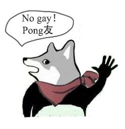 No gay Pong 友