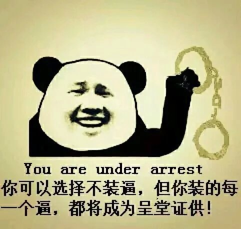 r You are under arrest你可以选择不装逼,但你装的每个逼,都将成为呈堂证供