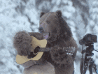 大黑熊弹吉他