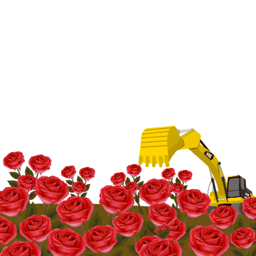 挖掘机玫瑰