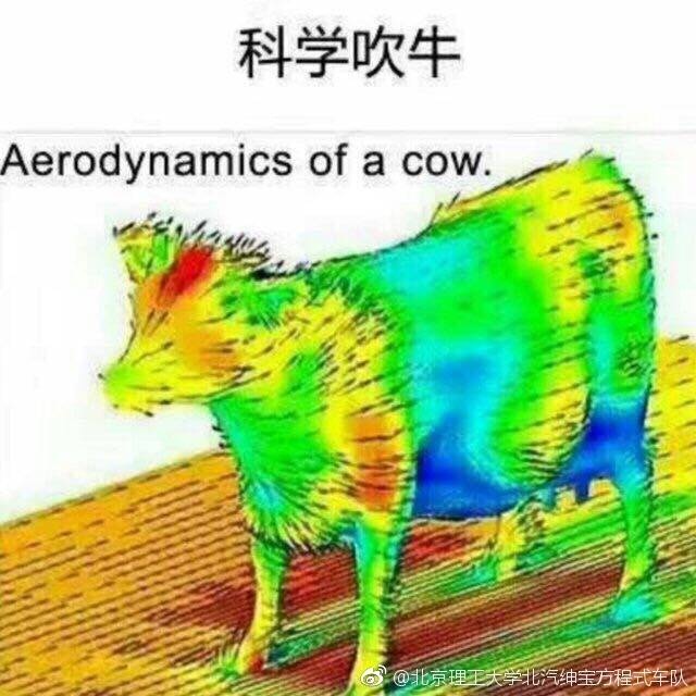 科学吹牛 aerodynamics of a cow