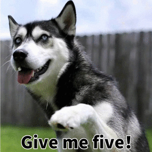 Give me five!