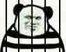 监狱犯（熊猫人）
