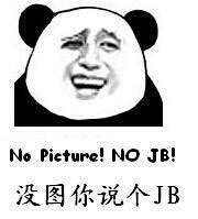 No Picture! No JB!（没图你说个JB）