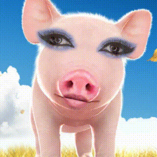 美丽猪猪