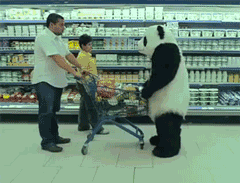 熊猫把购物车踢翻