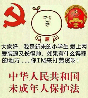 中华人民共和国，未成年人保护法！