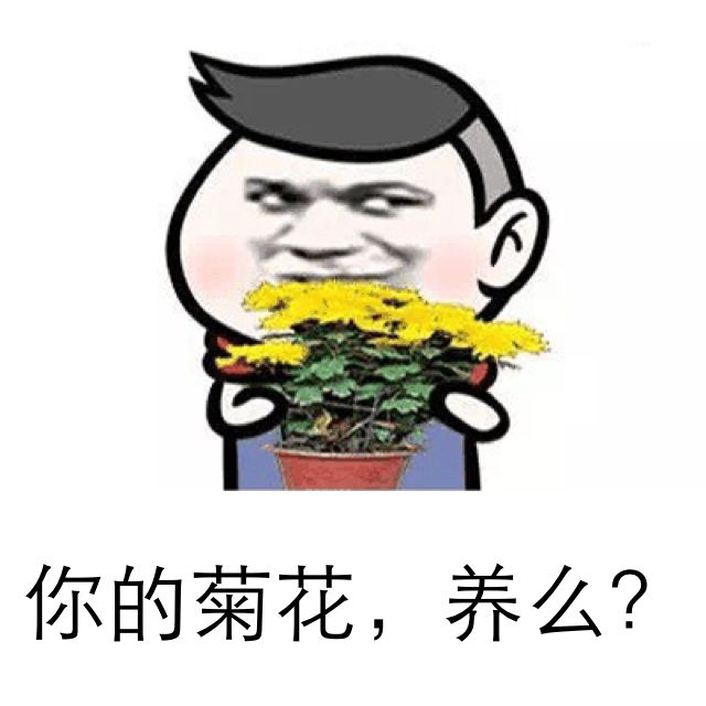 你的菊花，养么？
