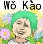 海贼王索洛：Wo Kao