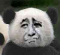 熊猫人不开心