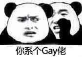 你系个Gay佬（熊猫）