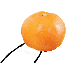 给你个橘子