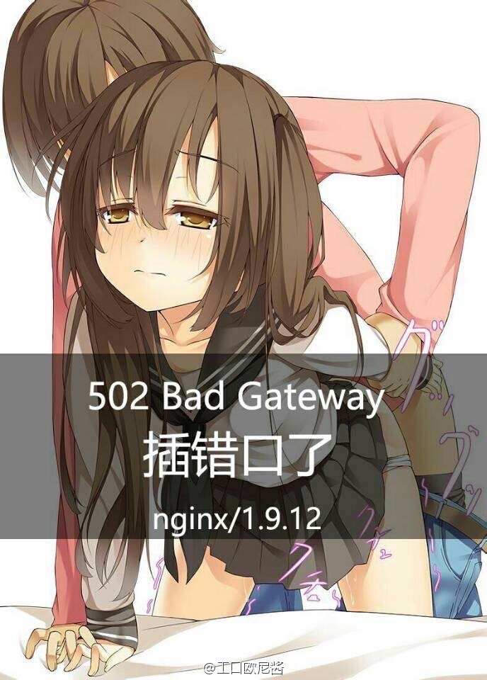 插错口了，502 bad gateway nginx-1