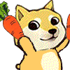 小黄狗玩红萝卜！