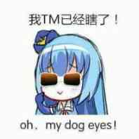 我TM已经瞎了（oh, my dog eyes）