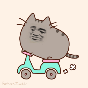 猫骑电动车
