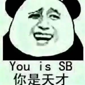 你是天才（you is SB）