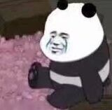 熊猫哭了