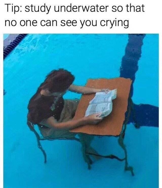 Tip   study underwater so that no one can see you crying (小提示：在水底学习就没人看见你在哭)