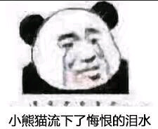 小熊猫流下了悔恨的泪水(熊猫头)