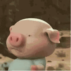 小猪快跑GIF - 小猪跑动图表情 ​