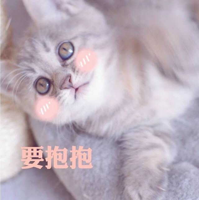 要抱抱萌萌哒猫星人表情包