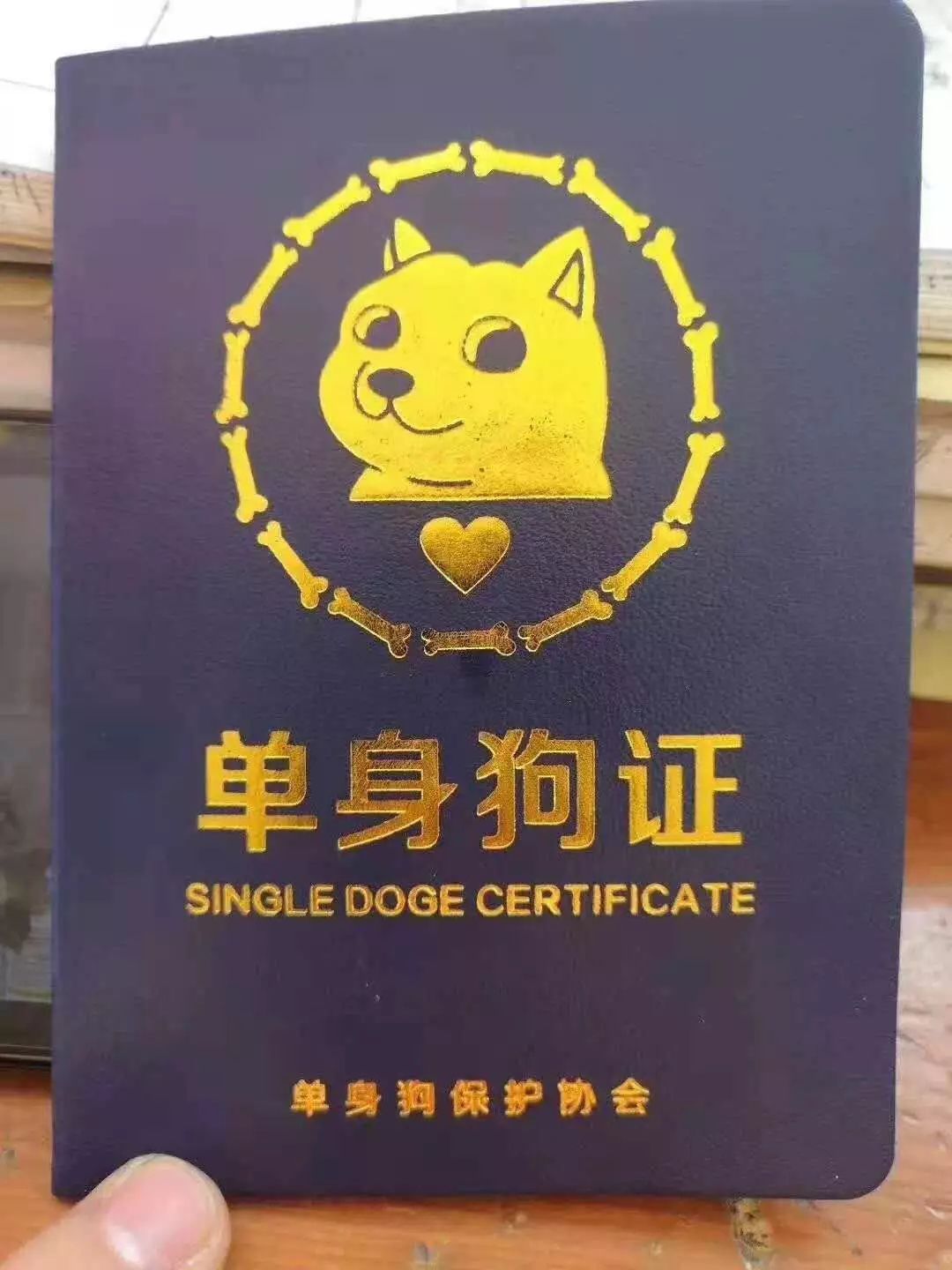 单身狗证书照片图片