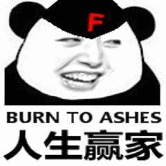 burn to ashes人生赢家