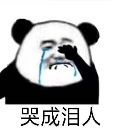 我哭了表情包熊猫头图片