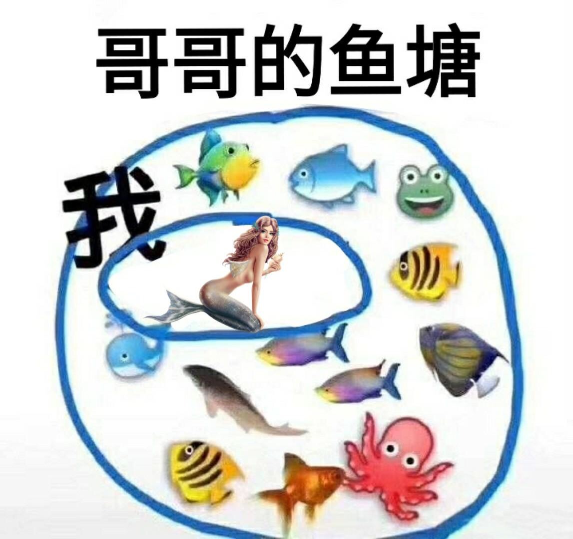 海王鱼塘网图图片